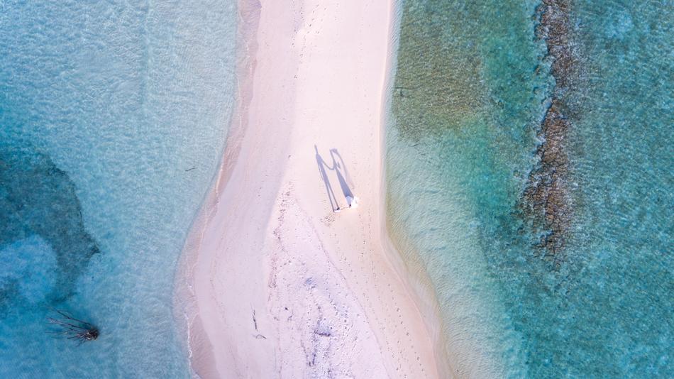 wedding couple on Beach, aerial view