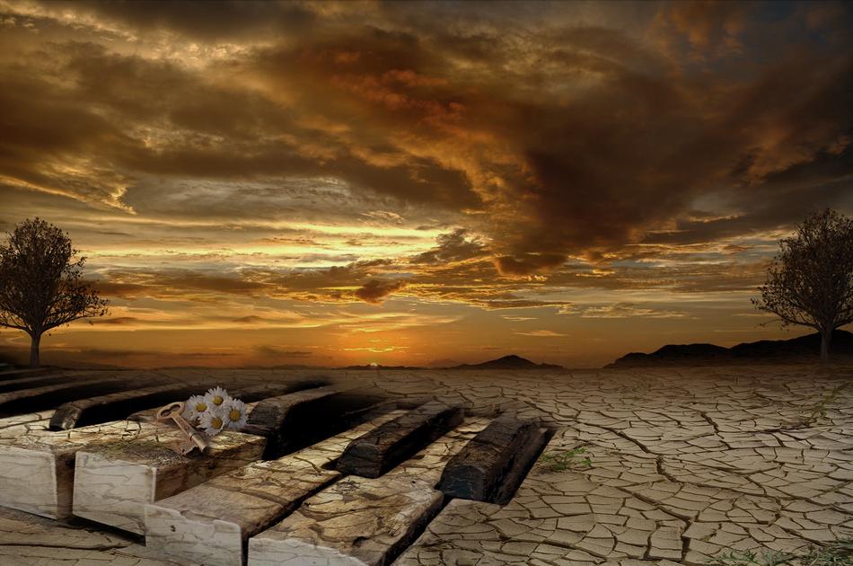Sunset Nature Sky