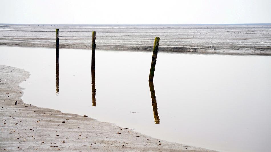 North Sea Beach