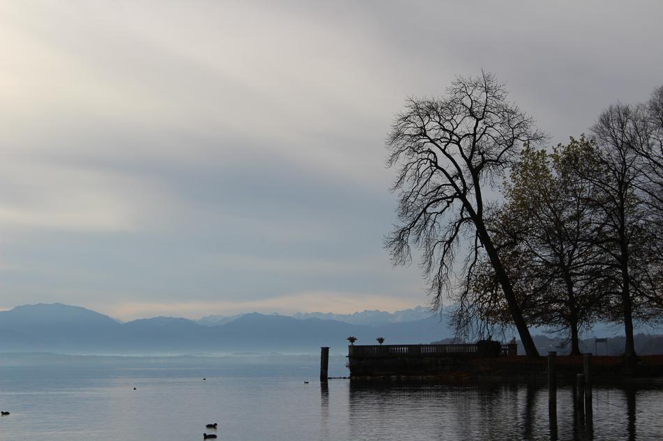 trees by the lake against the background of mountains