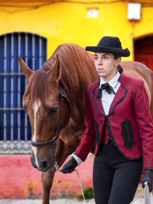 Amazon Andalusia Horse