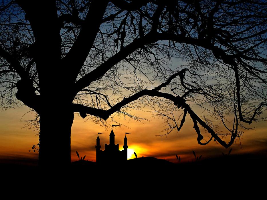 tree castle sunset landscape sky
