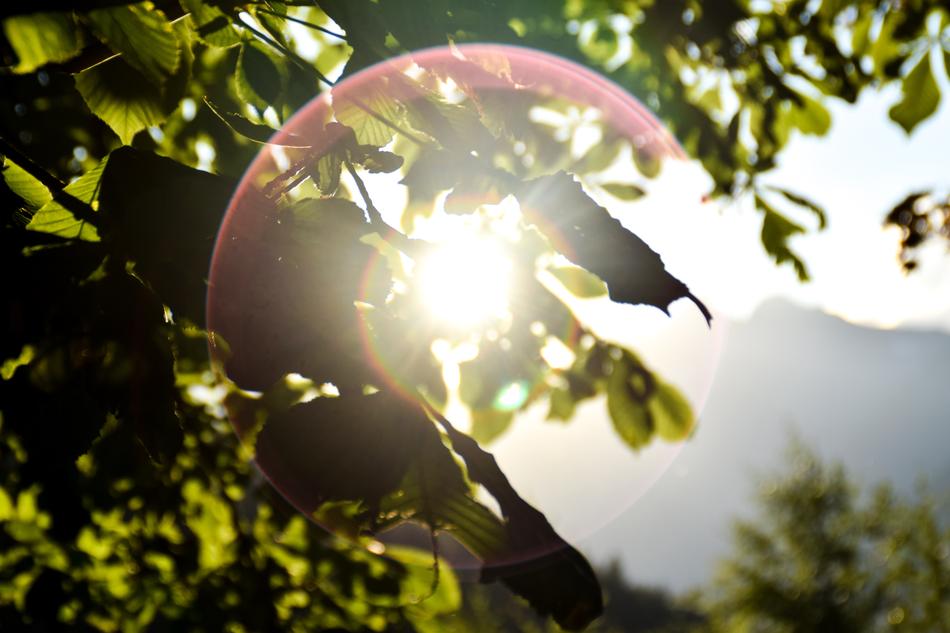 Sun Seem Sunshine
