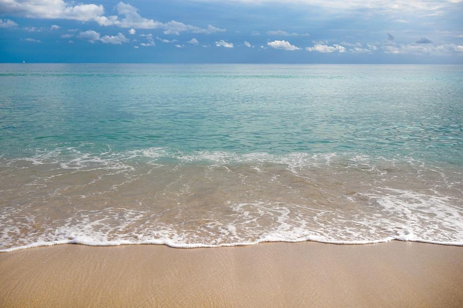 Sea Beach Nature in Mallorca