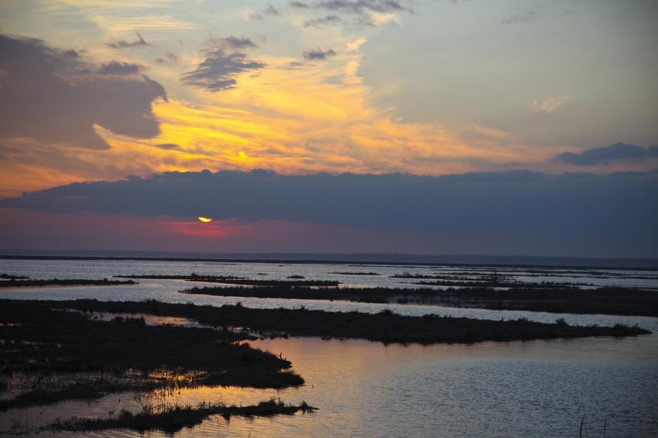Sunrise Wetlands Morning
