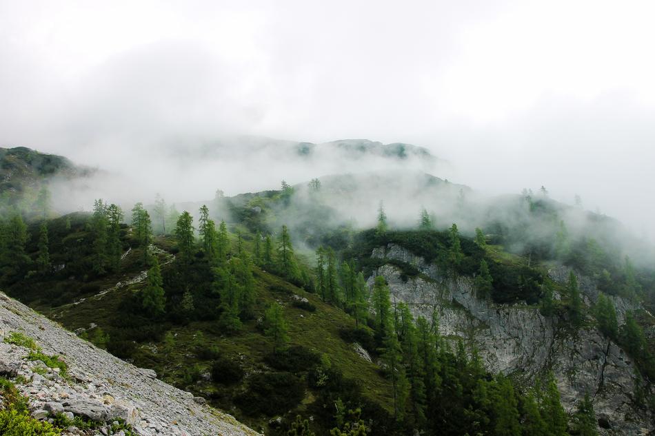 Mountains Fog Steamy Foggy