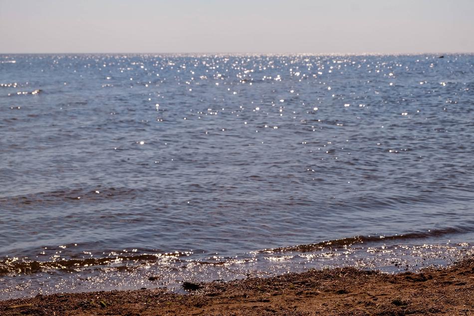 Zelenogorsk Bay Russia