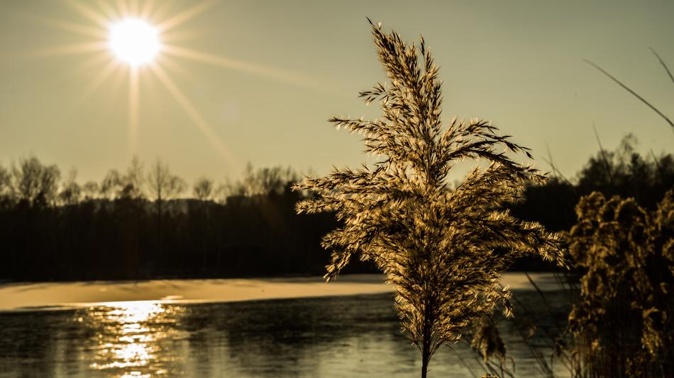 Nature Waters Dawn