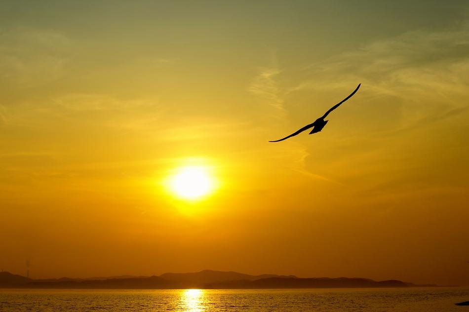 Sea Sky Solar