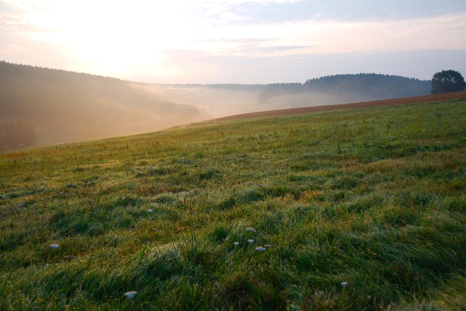 Panorama Nature Landscape