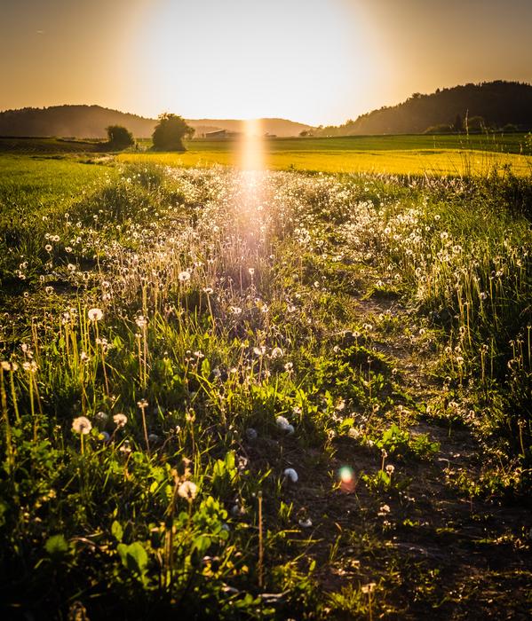 Landscape of Sunset in Nature