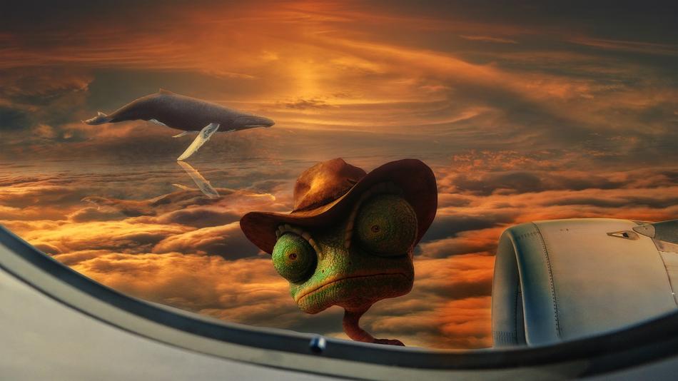 cartoon frog in the airplane window