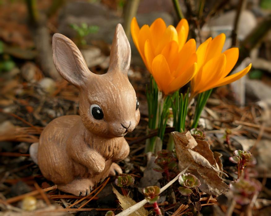 Easter Bunny Hare