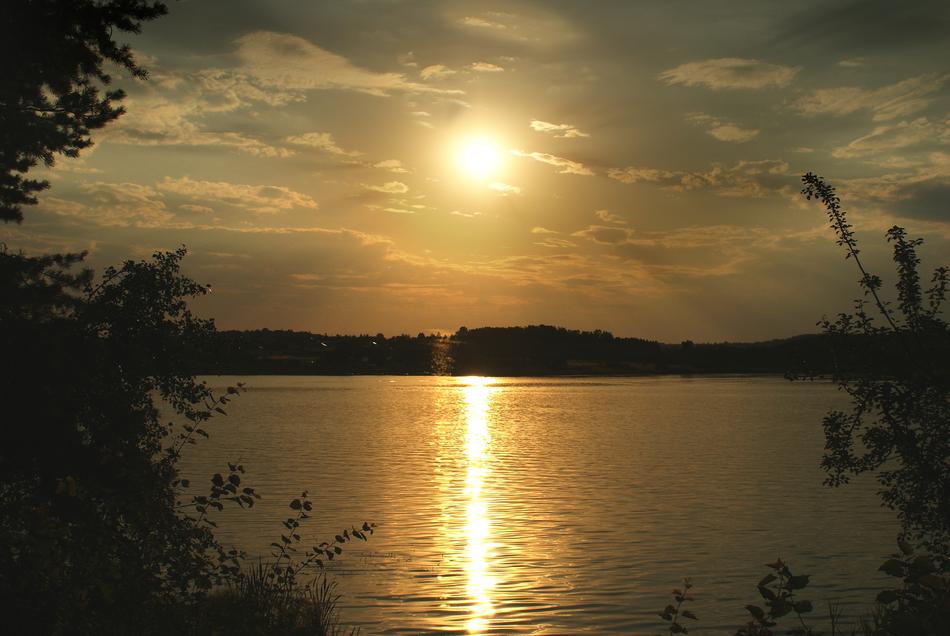 West Sun Landscape