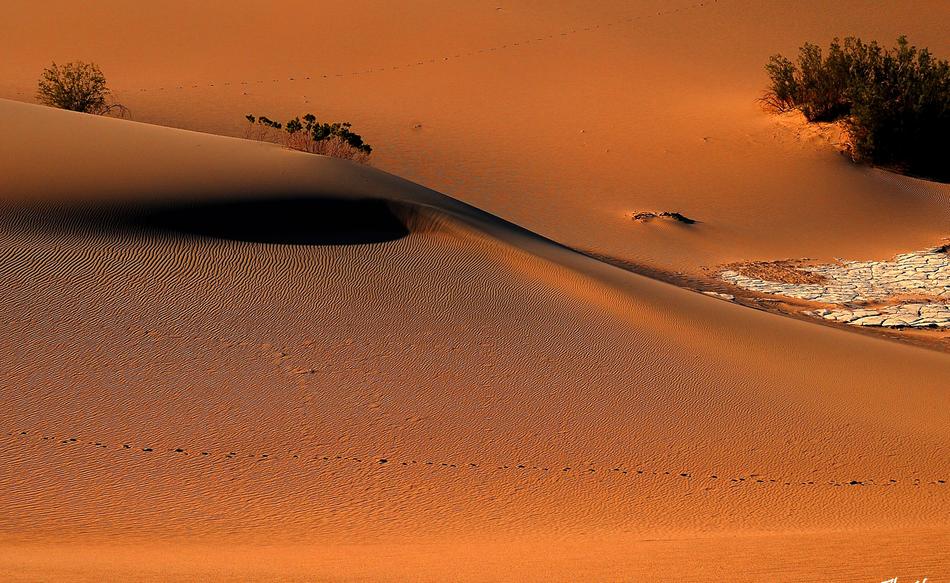 Death Valley Sand Nature National