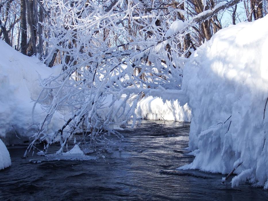Winter Snow Frost