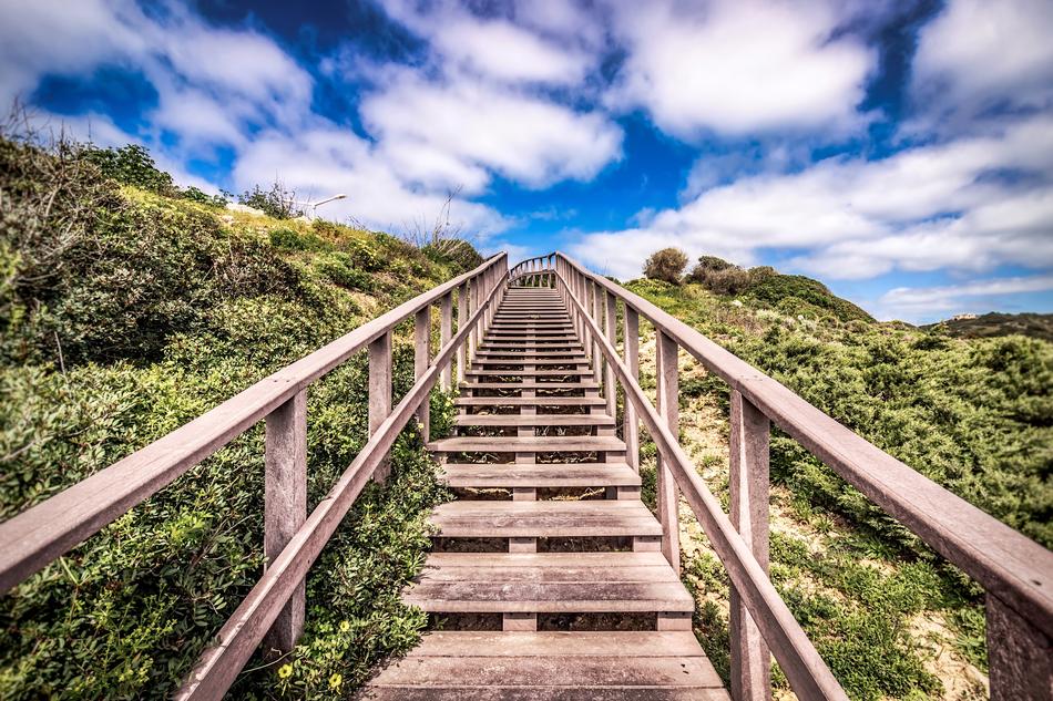 Stairs Foliage Sky