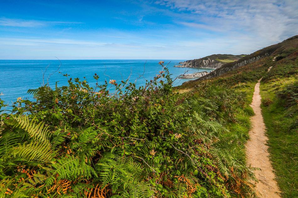 Coast Walkway Ocean