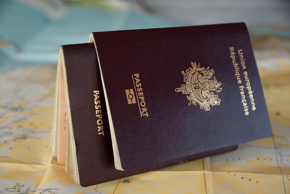 Passport Border Customs free image download