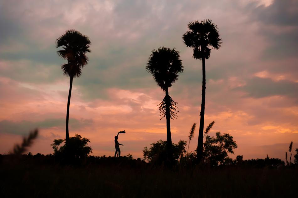 Palm Man India