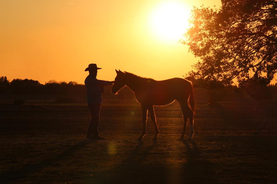 Sunset Dawn Outdoor