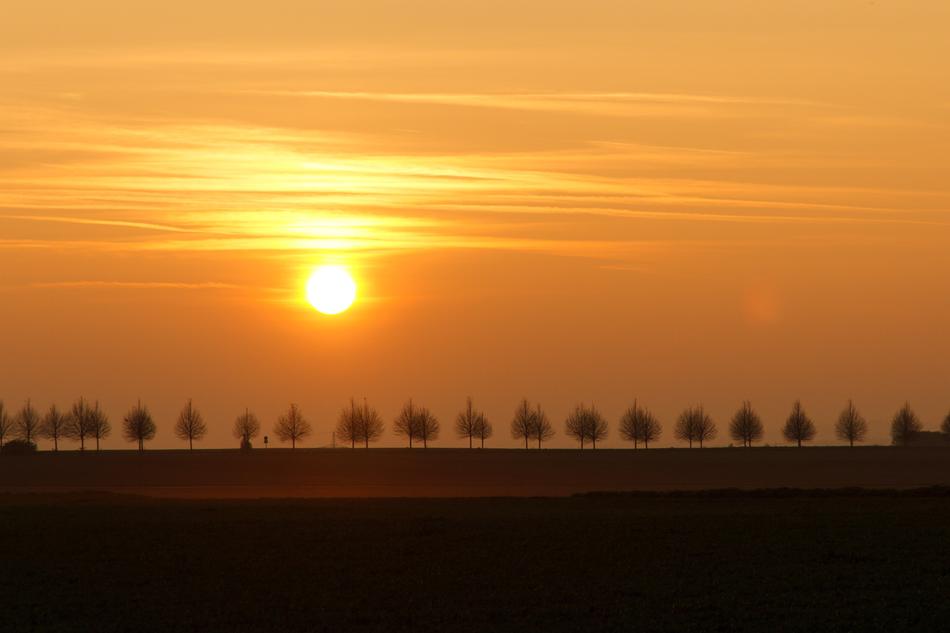 Autumn Sunset Atmospheric Golden