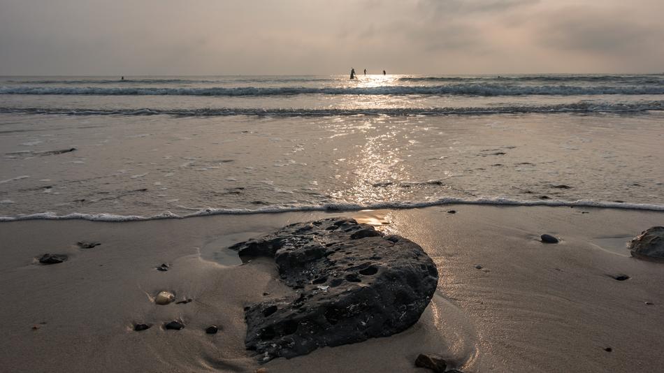 Sea Surfer Denmark