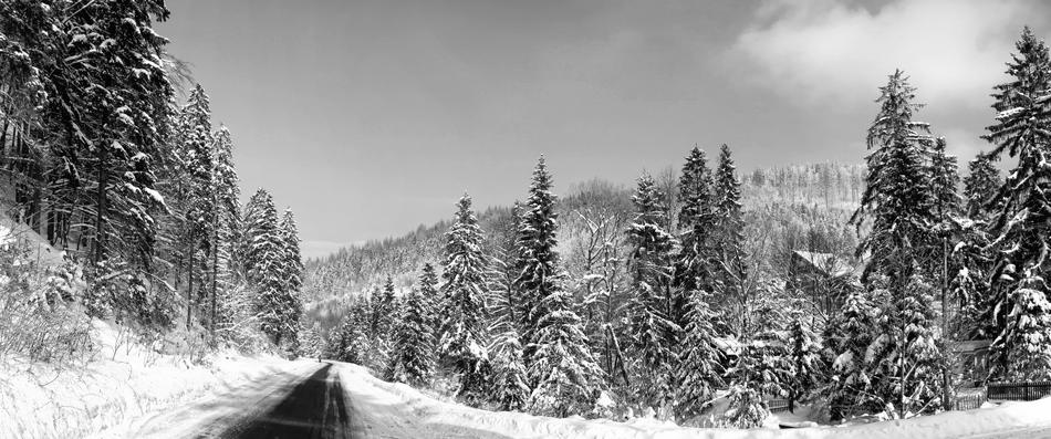 Panorama Snow Nature