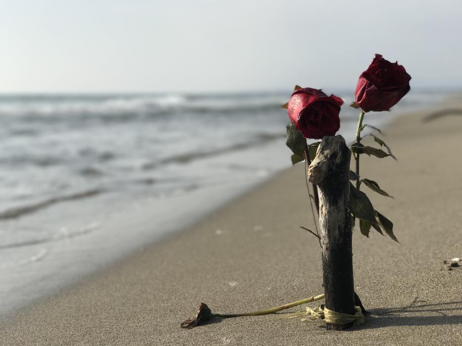 Rose Beach Sea