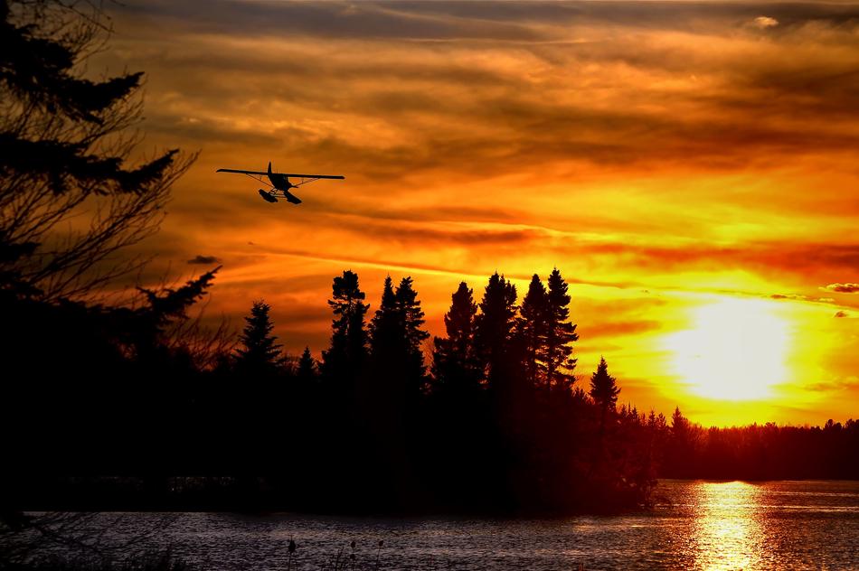 Seaplane Sunset Trees