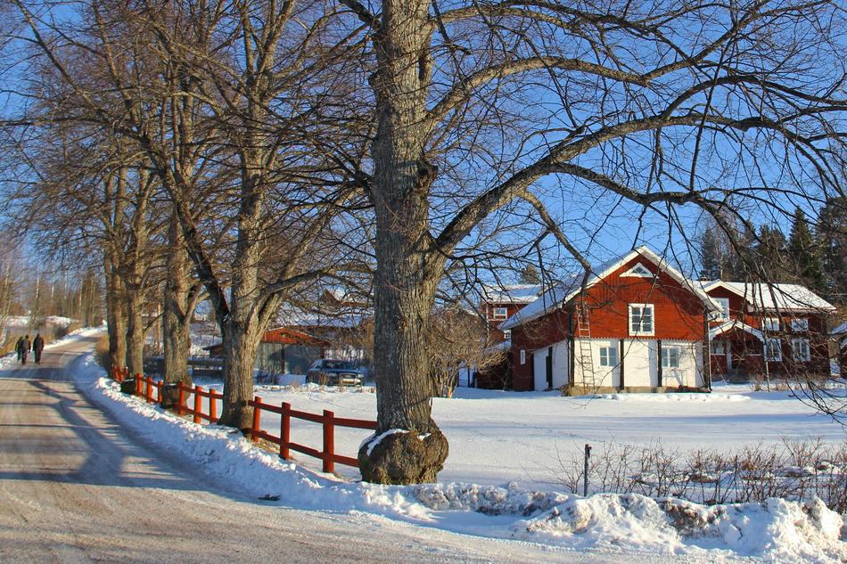 Swedish cottage in the countryside in winter