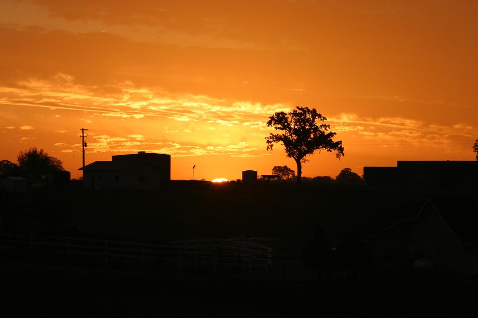 Sunset California Orange