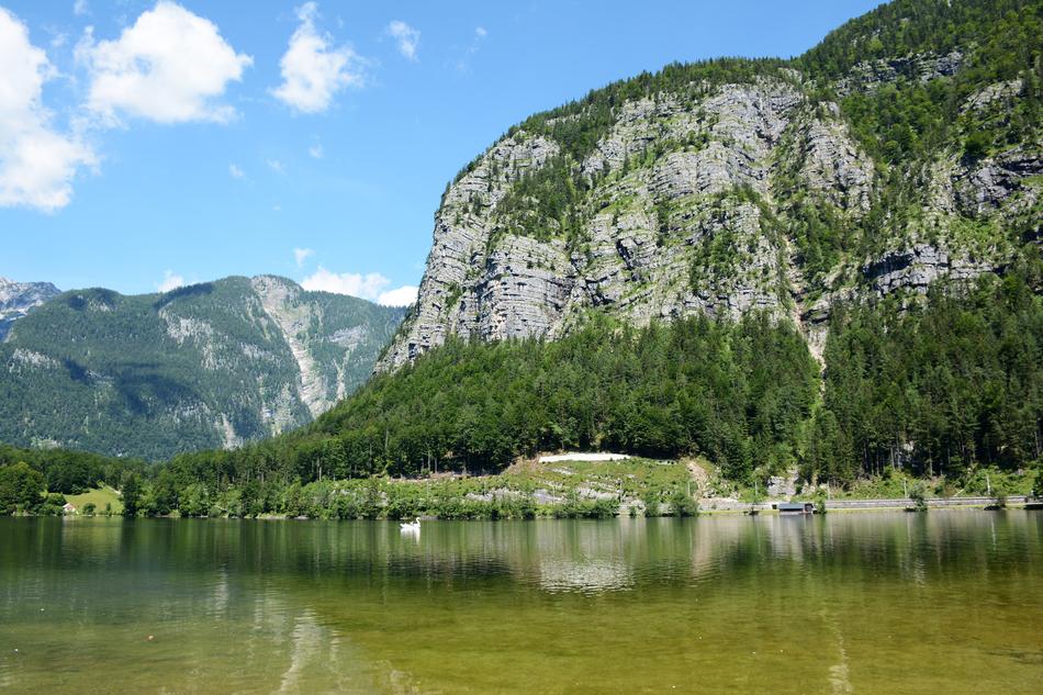 forest on the edge of the lake against the background of mountains in Austria