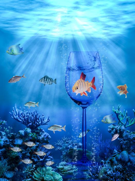 Fishes in Ocean Graphics