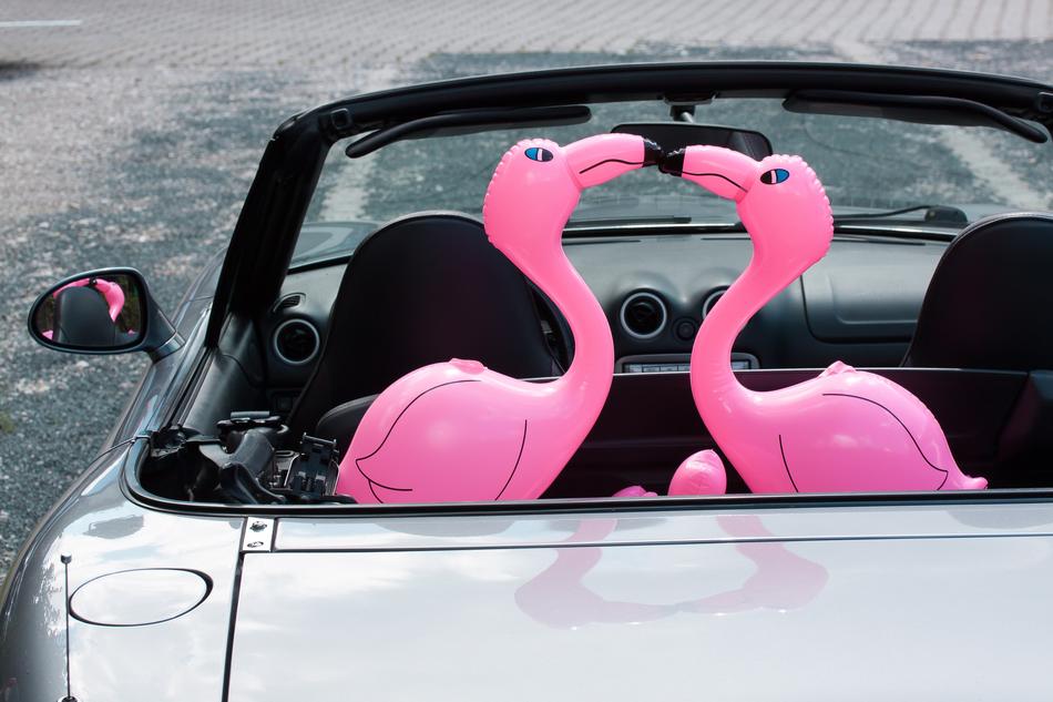 Flamingo Inflatable Pink