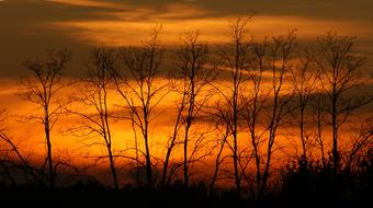 The Dawn Family Sunset Panoramic