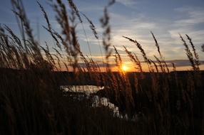 Sunset Nature Lake