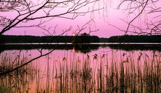 Nature Reflection Waters