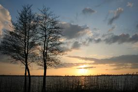Dawn Nature Sunset