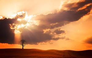 Landscape of weather sunset mood