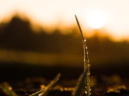 Sunrise Winter Landscape