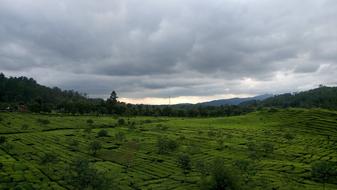 Nature Panorama Landscape