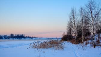 Snowy Nature at lWinter andscape