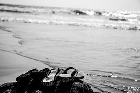 Nature Sea Ocean