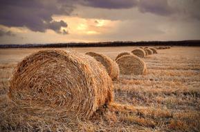 Parcel Field Landscape