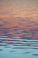 Color Water Wave