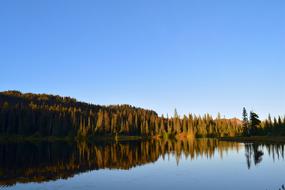 Trees Lake Reflection