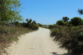 Beach Coast Sand