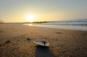 Beach Sun Sand