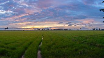 Landscape Sunset Sky